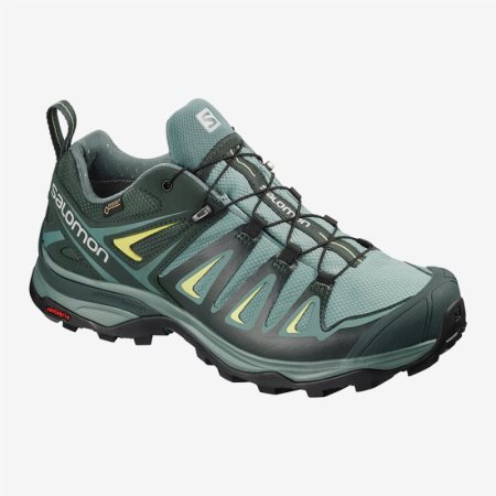 Scarpe Trekking Salomon X ULTRA 3 WIDE GTX W Donna Verde Acqua IT 8-Y64